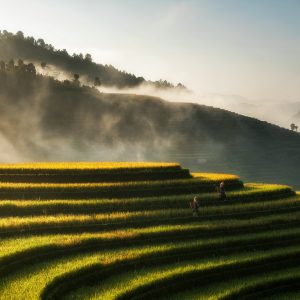 eSIM Việt Nam